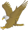 Hunting Eagle Clip Art